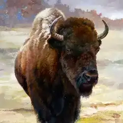 Trexler Bison